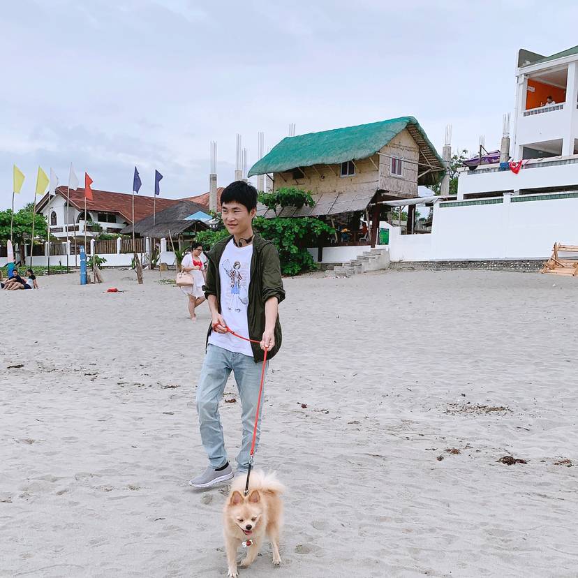 小刺猬的羞涩的照片