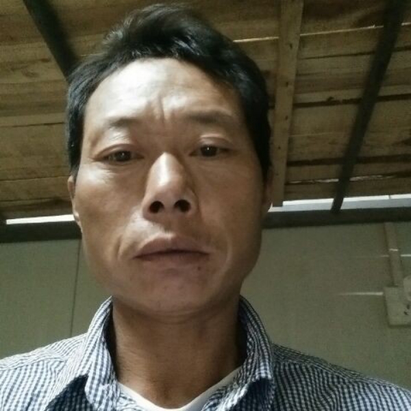 沉默苦恋枫叶的照片