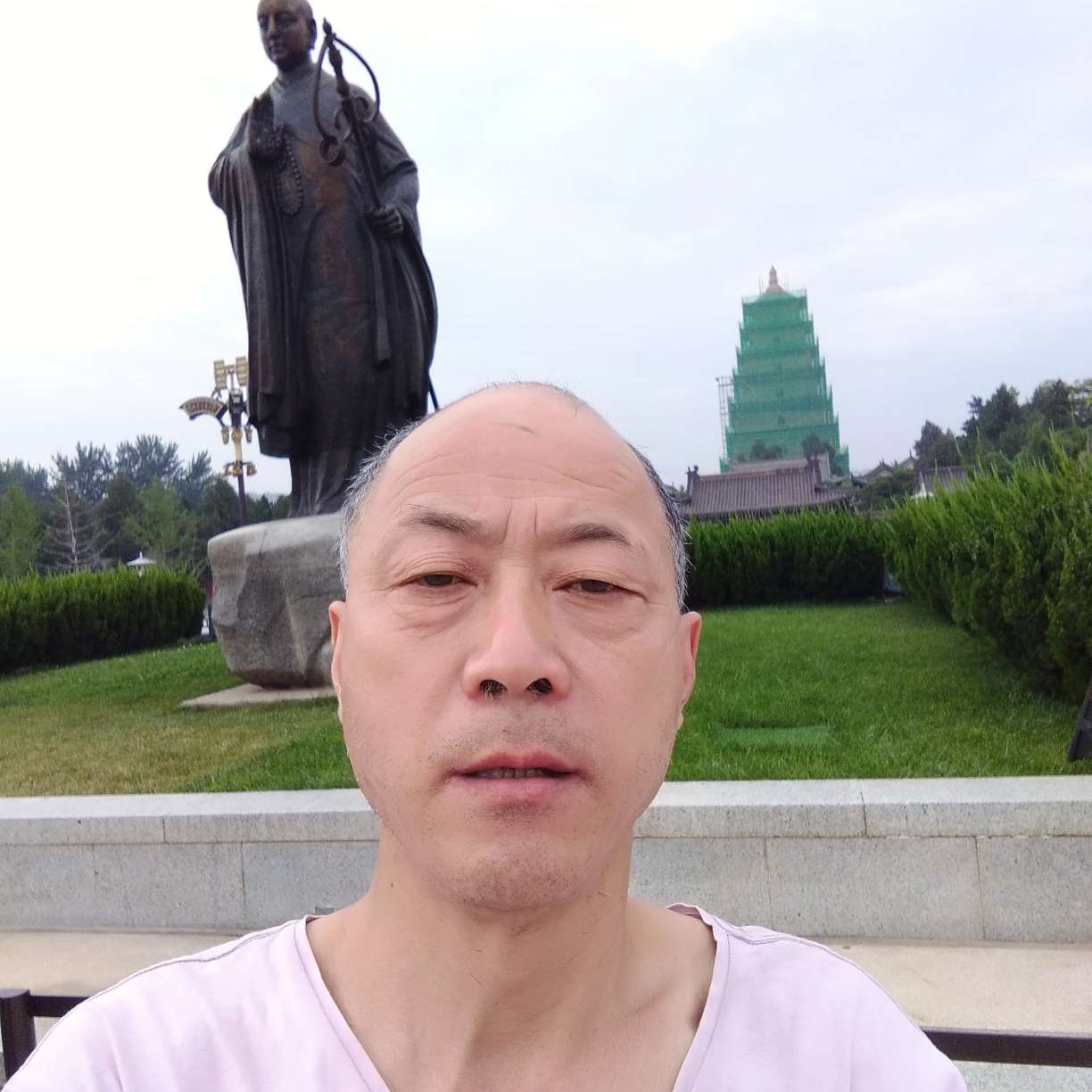 英勇与小海豚的照片