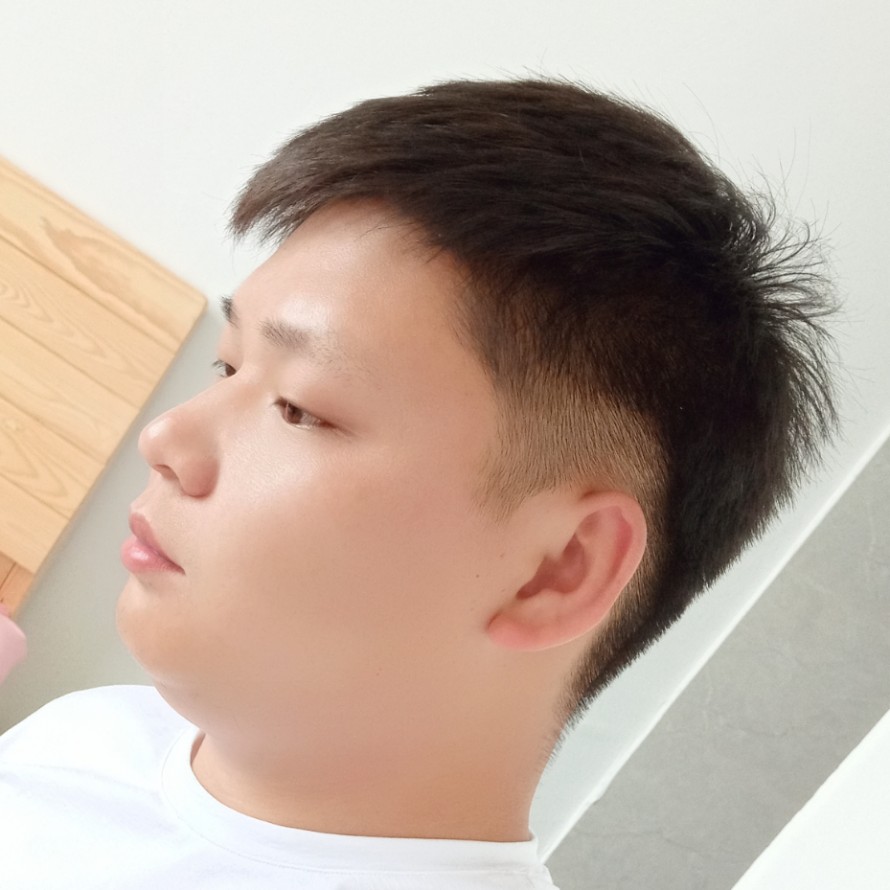 蚂蚁演变现代的照片