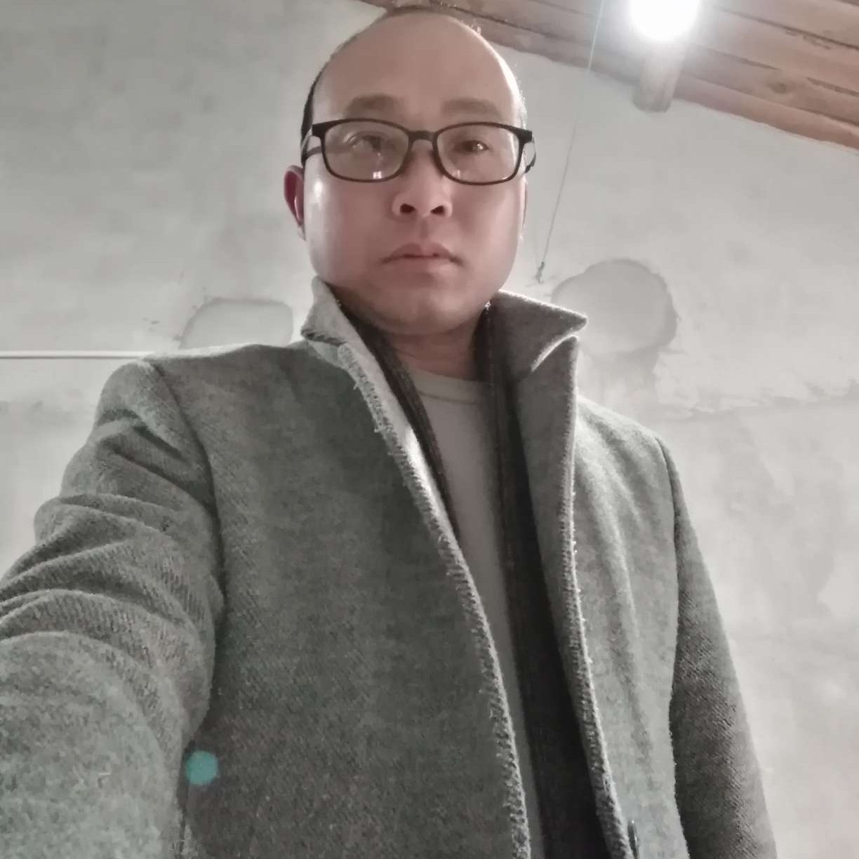 倔强的小鸟的照片
