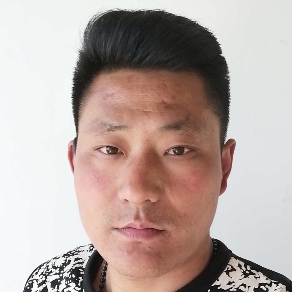 太阳漫步坚定的照片