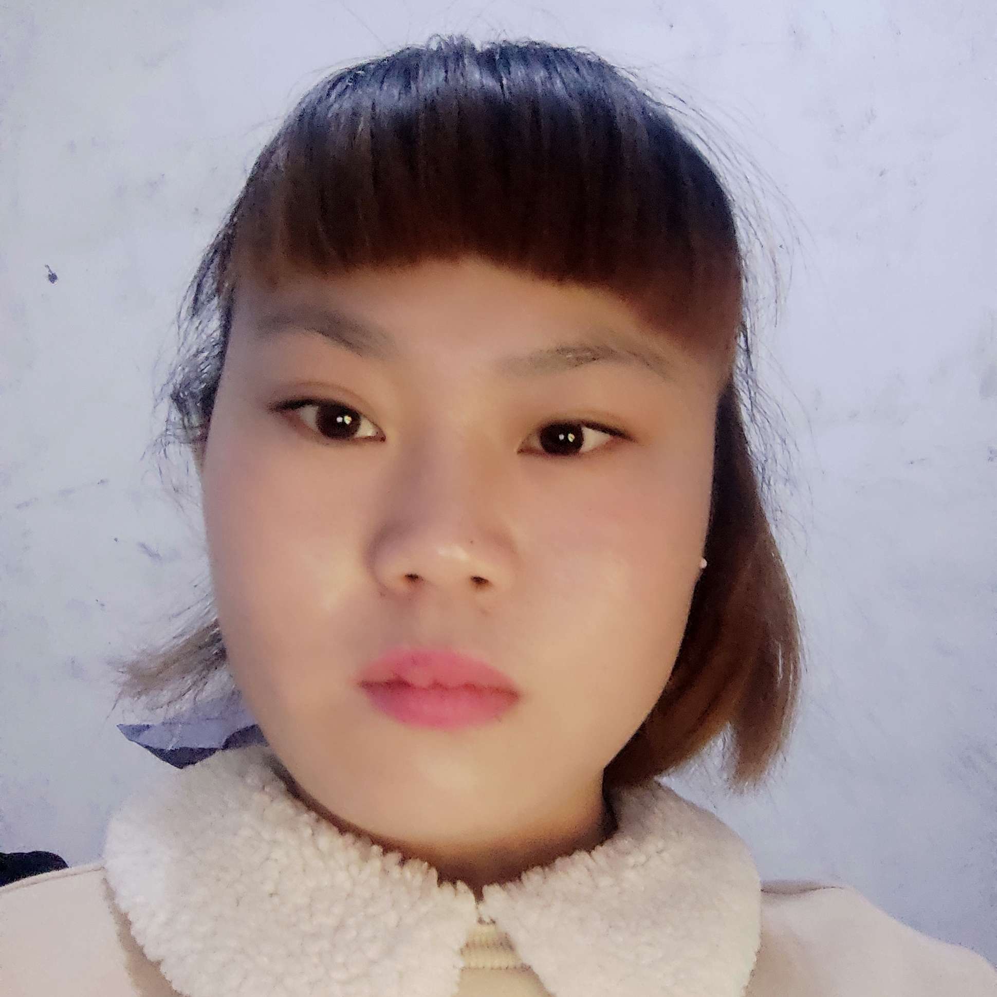 犀牛相许狂野的照片