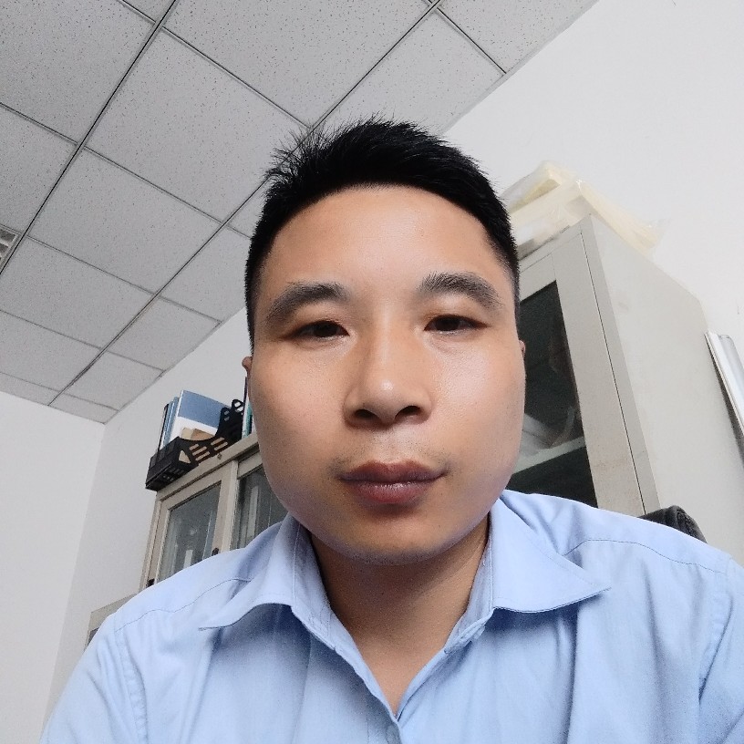 树叶的平淡的照片
