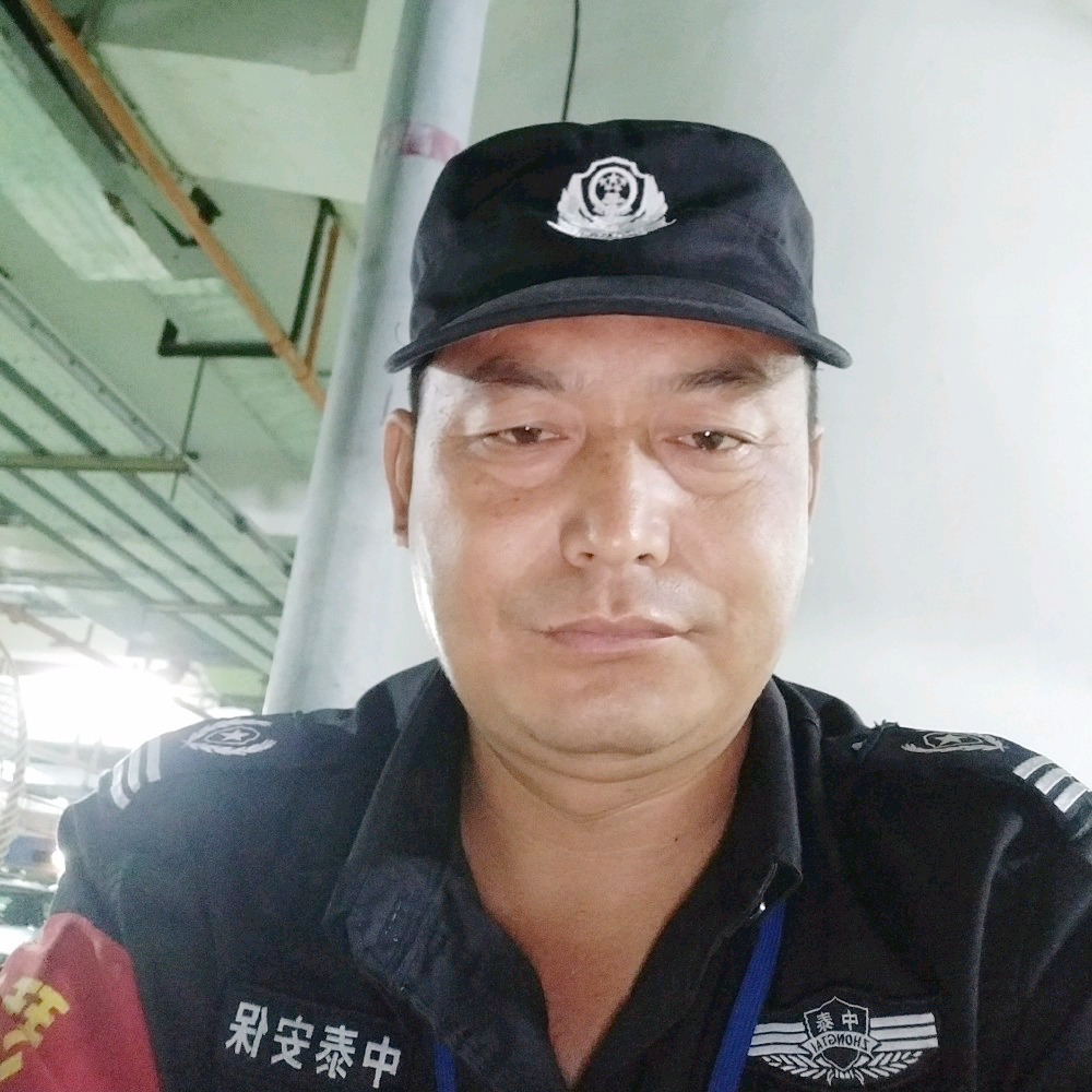 寂寞海燕的照片