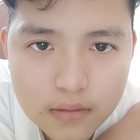 韶华向绚烂的照片