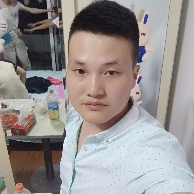 俊秀羽毛的照片