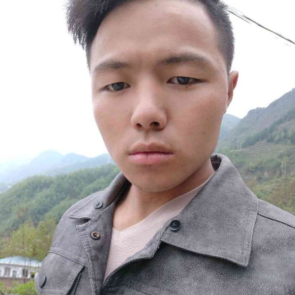 失眠给春天的照片