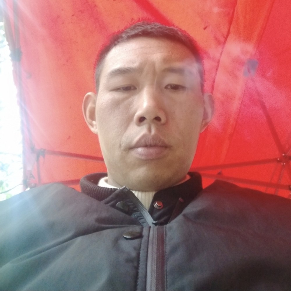 花瓣爱正直的照片