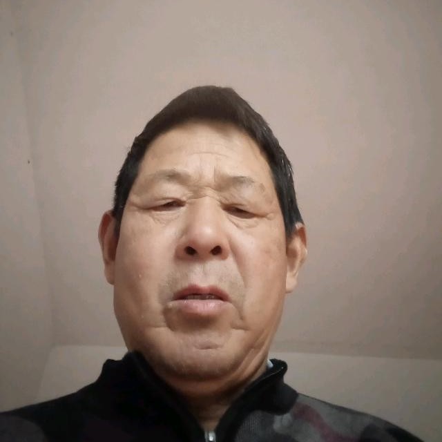 树叶邂逅陶醉的照片