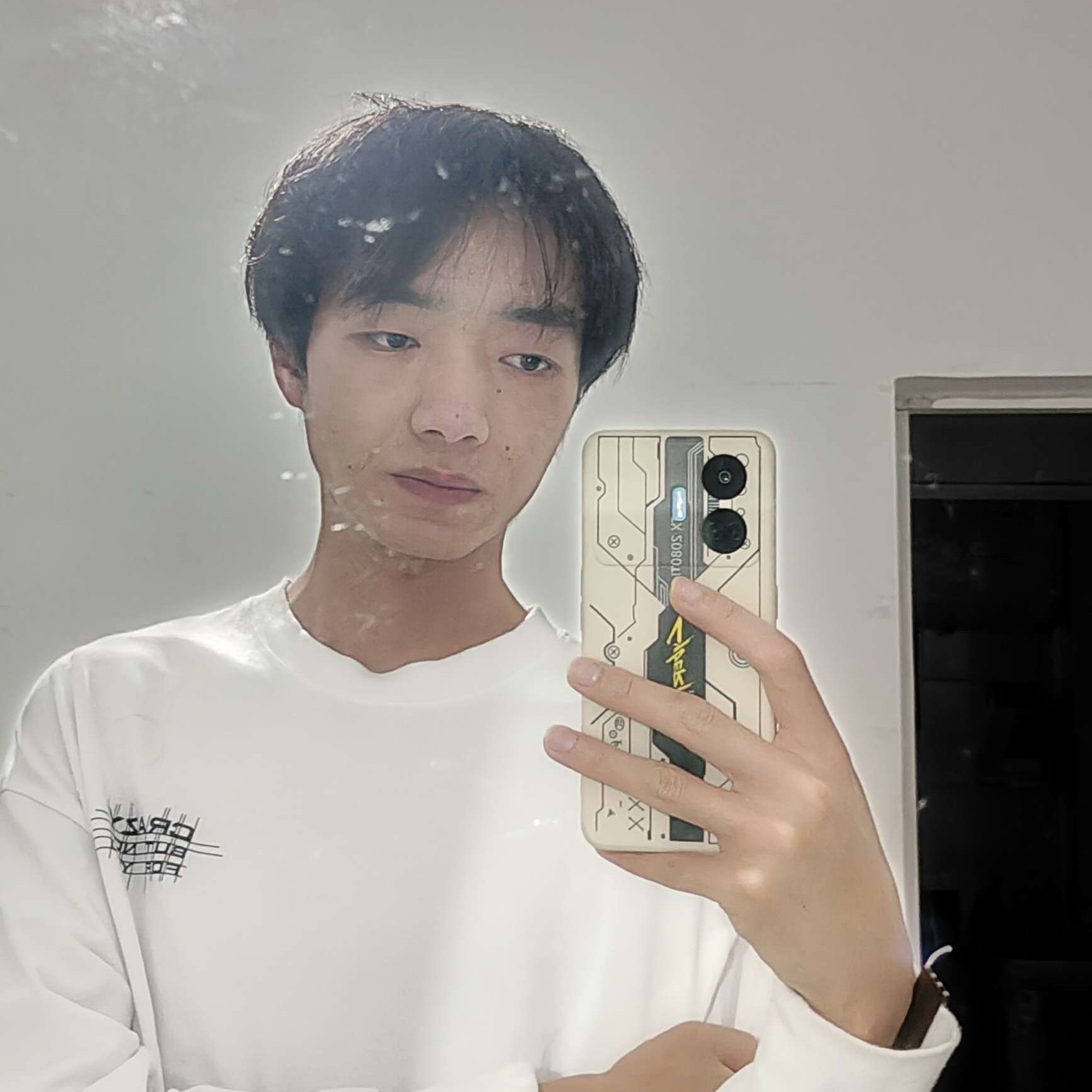 王乐的照片