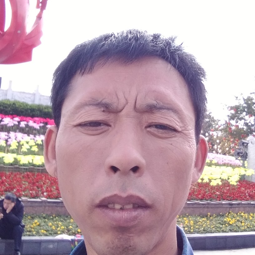 芹菜等待谁的照片