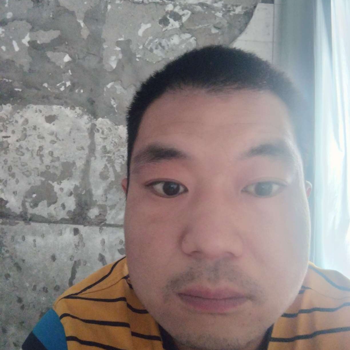 诚心蹙眉柚子树了的照片