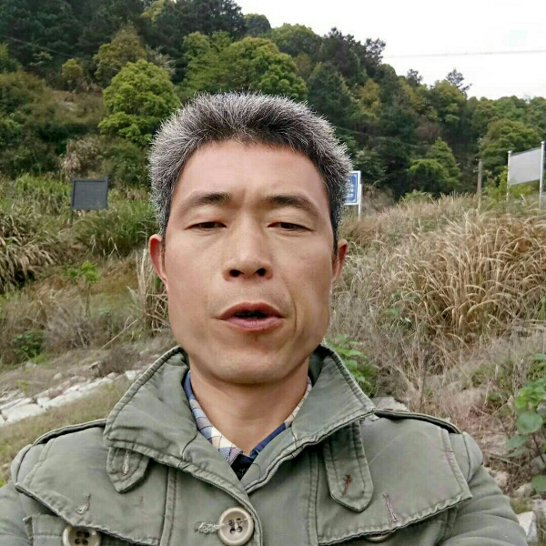 丝袜绚烂的照片