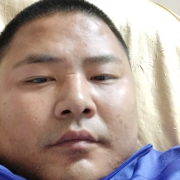 鱼在水中游008的照片