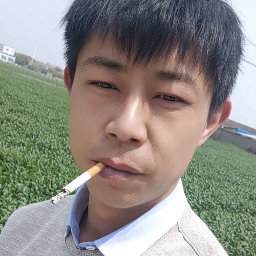 小鸭子友好的照片