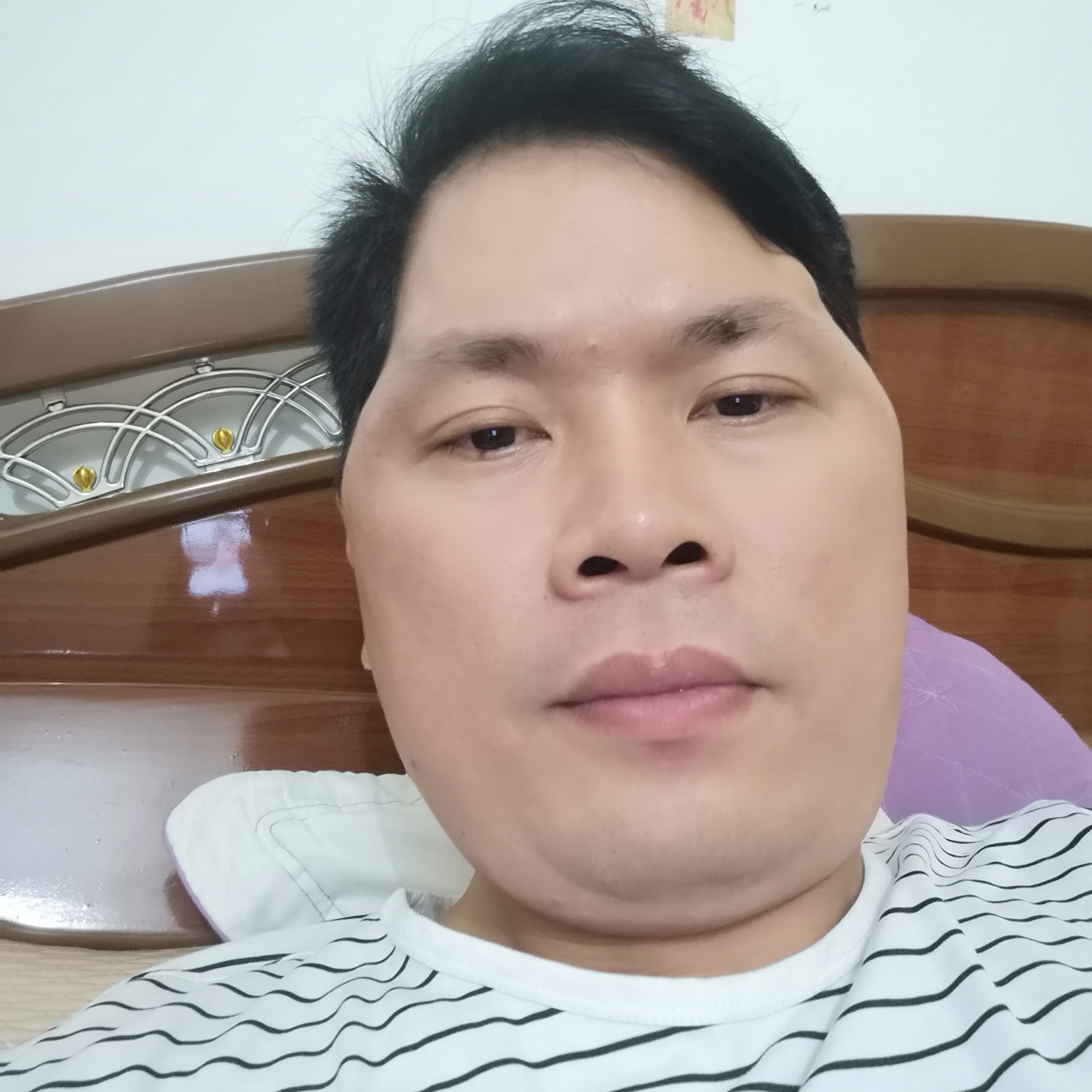 绵密蹁跹诺言的照片