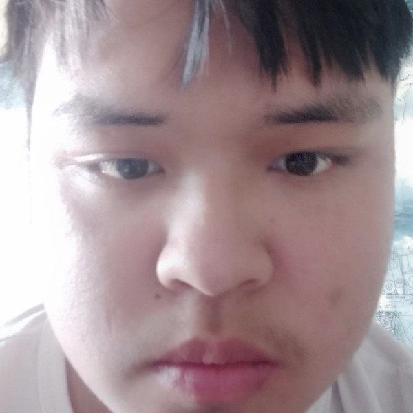 泥猴桃重要的照片