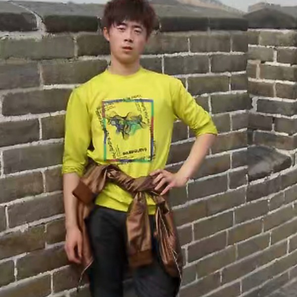 蘩藜漫步隐形的照片