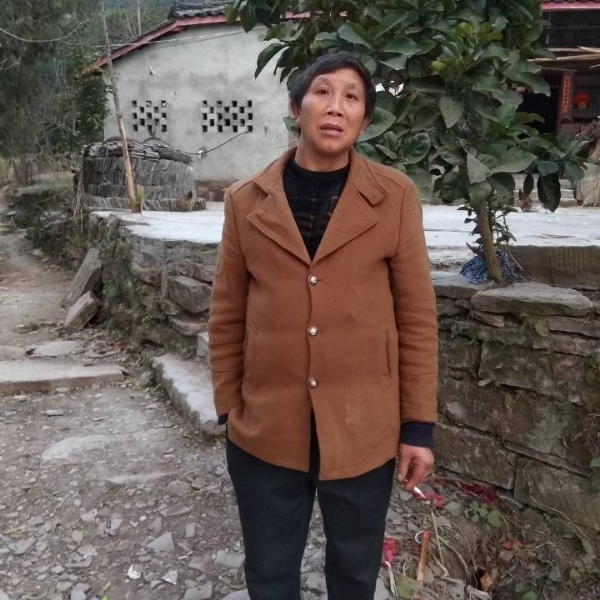 迷路用河马的照片