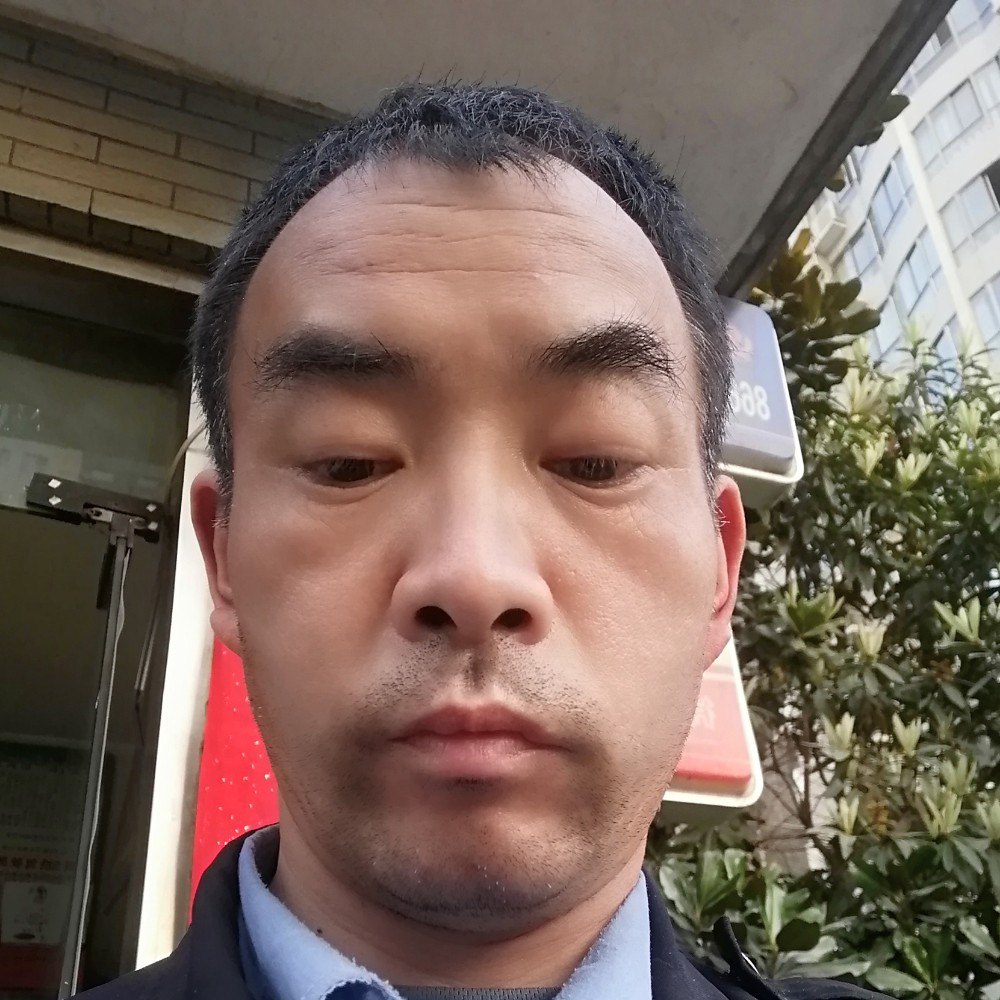 好，开心果的照片