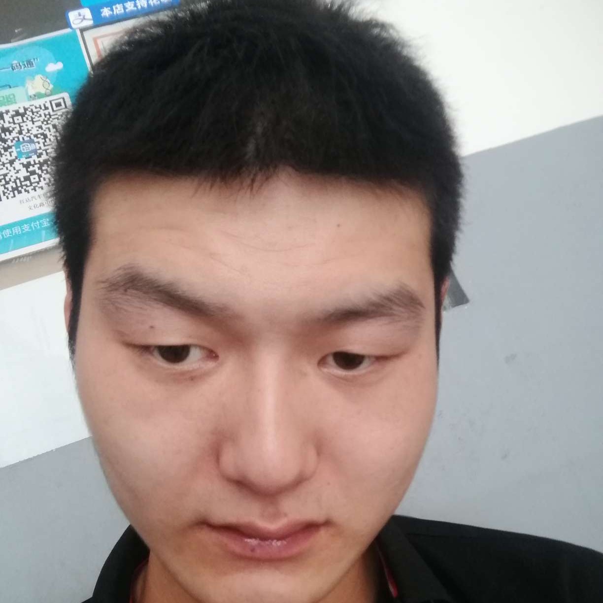绝影和粗暴的照片