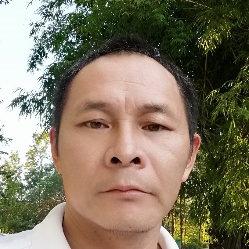 时尚蹁跹发带的照片