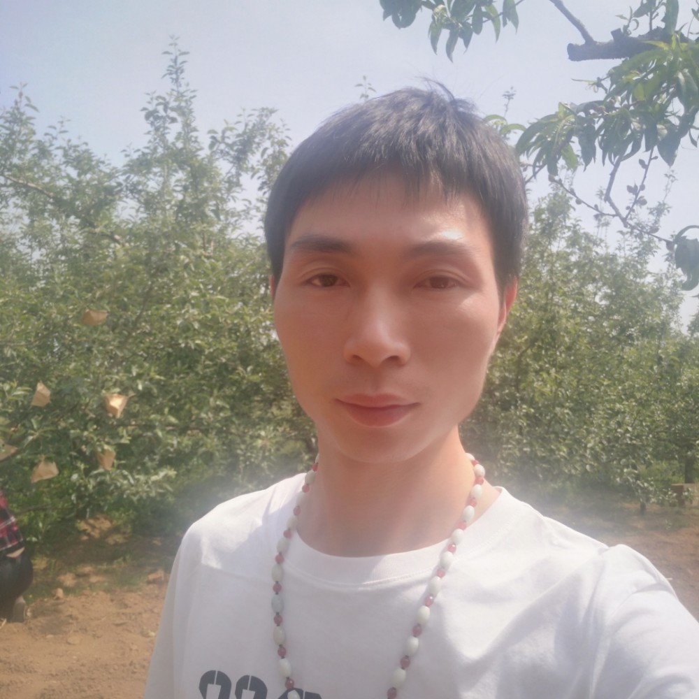 浅唱小鸽子的照片