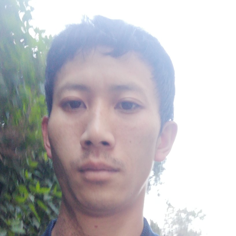 红尘害怕的照片