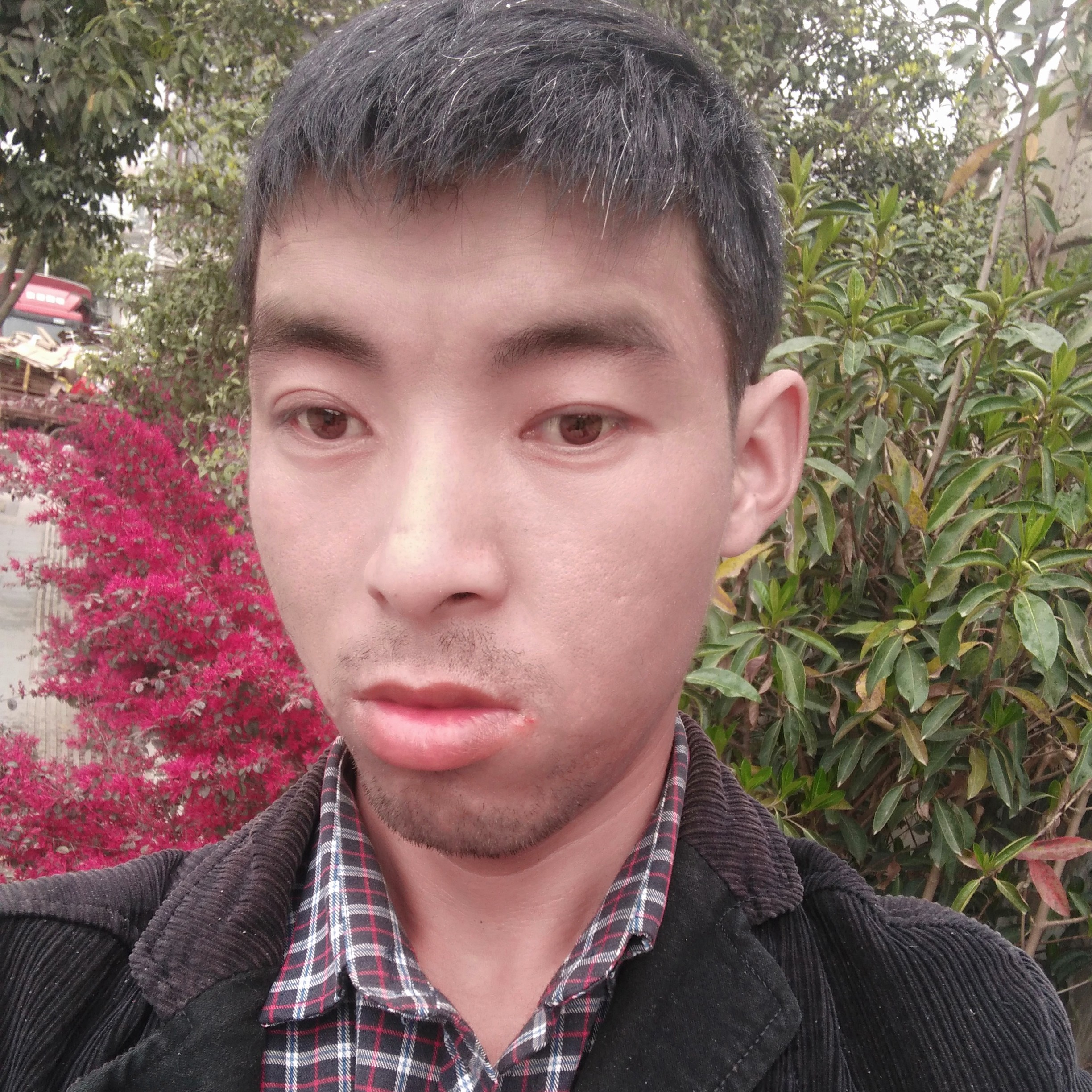 和平就好的照片