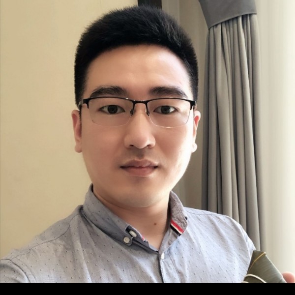 游泳的海豚的照片