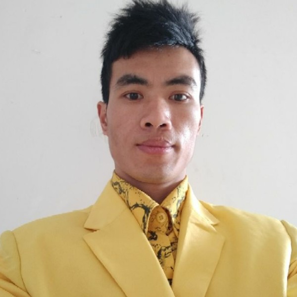 丰富大象的照片