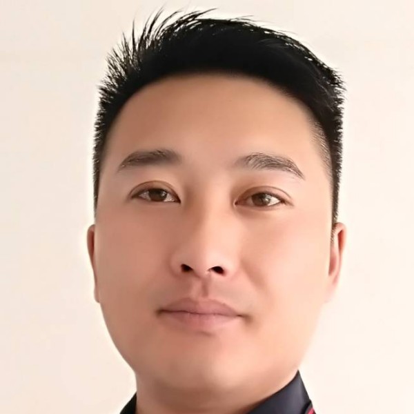 蓬莱松的照片
