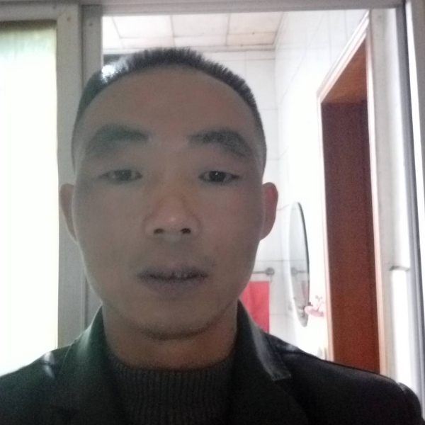 黑夜苦恋苹果的照片