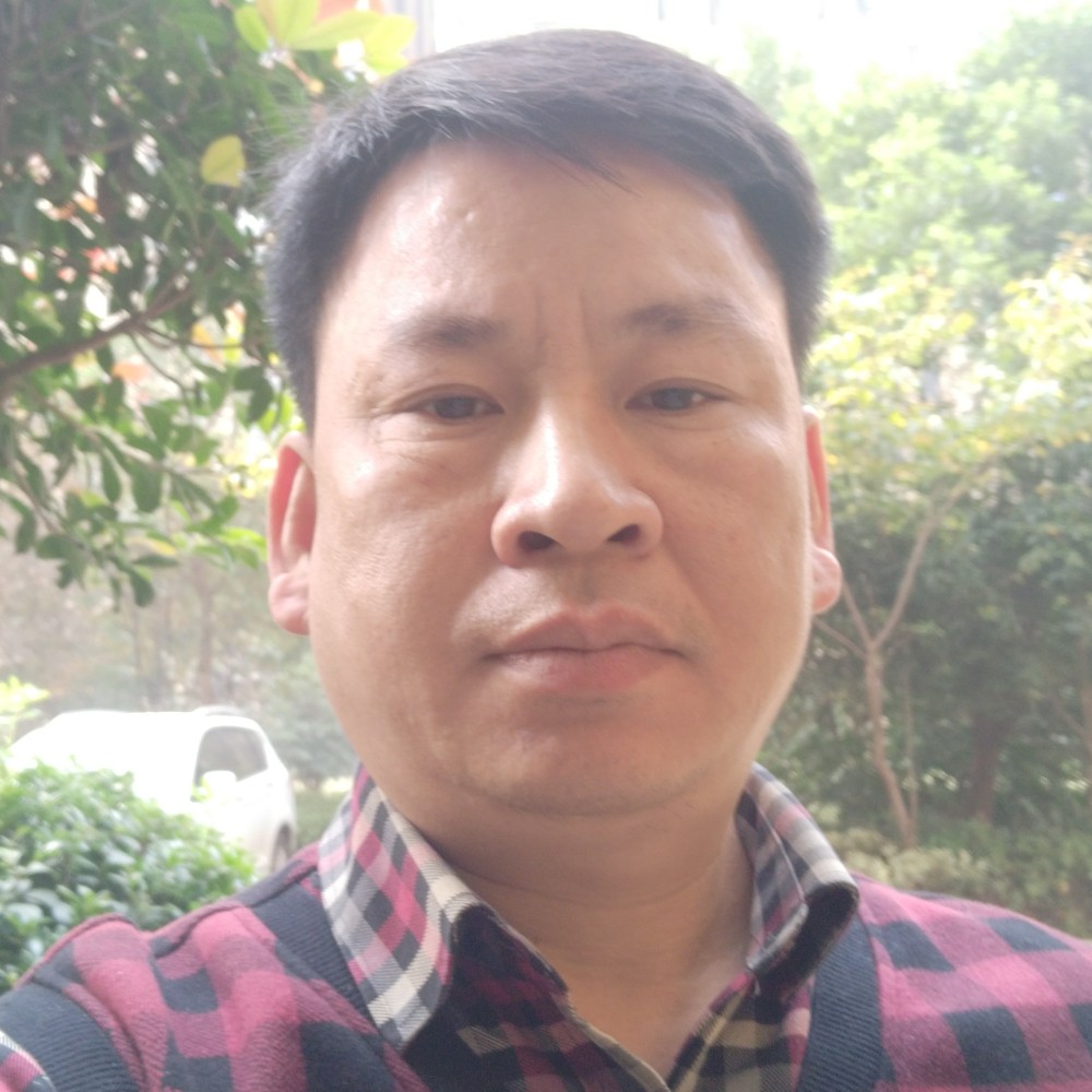 港湾里的船的照片