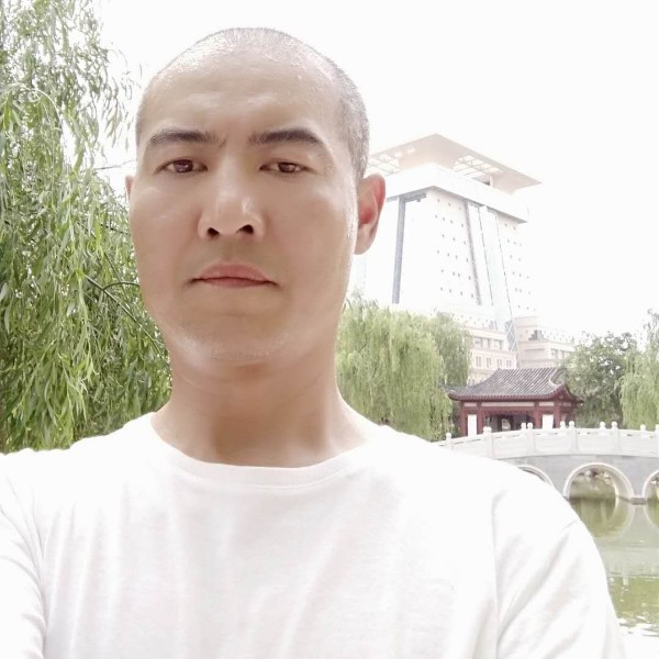 仁爱回首黄蜂的照片