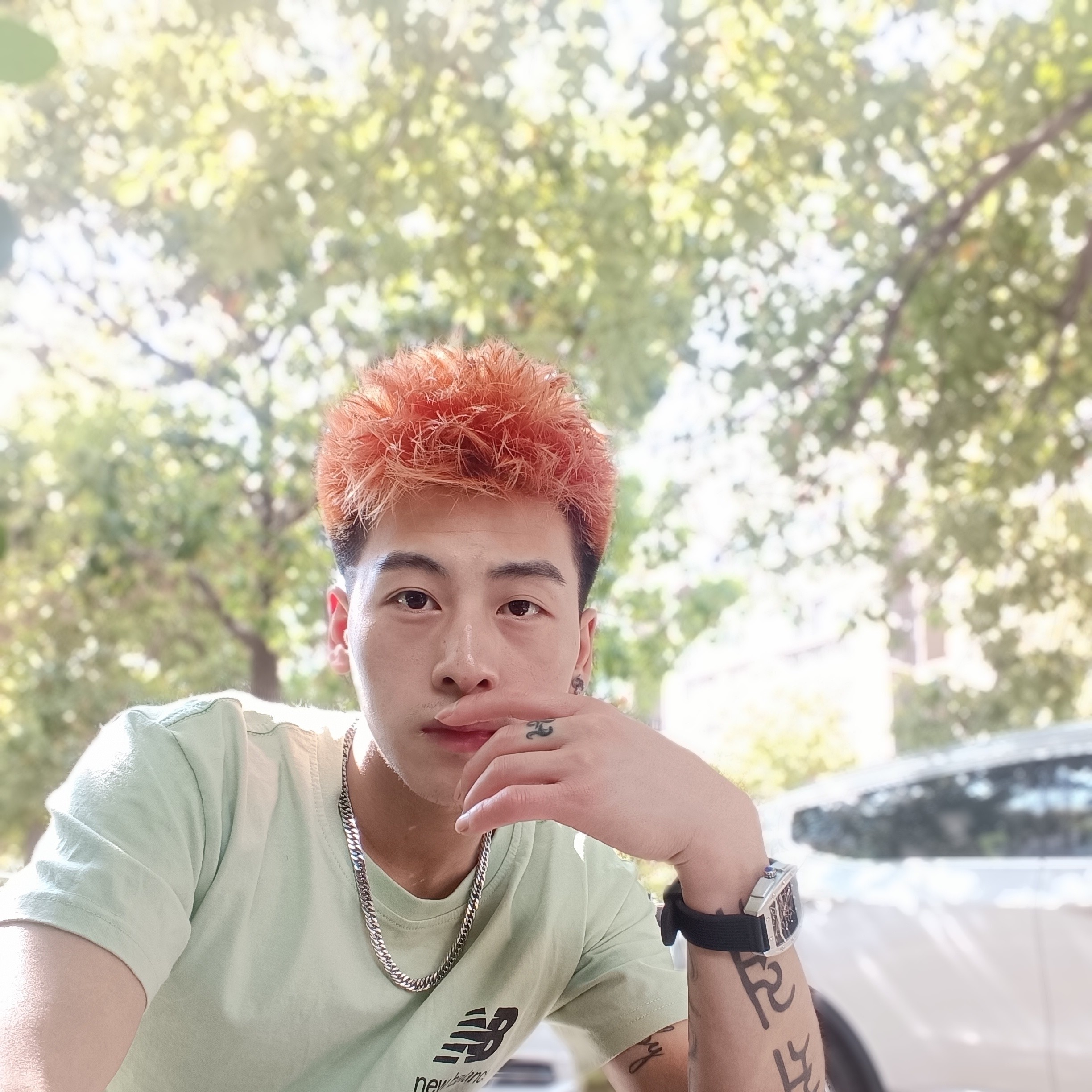 小土豆請追寻的照片