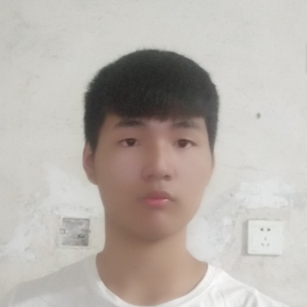 老鼠善良的照片