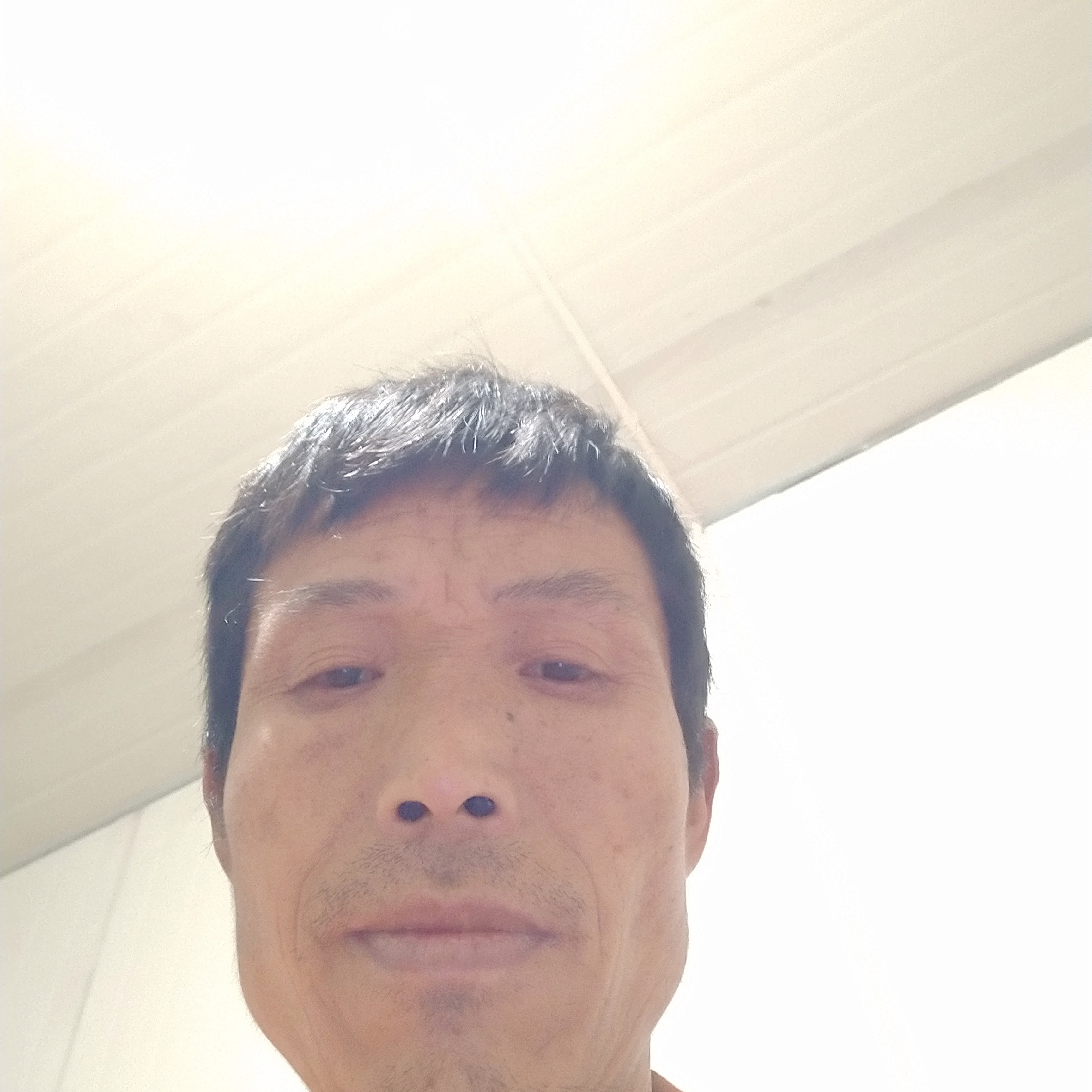 悦耳向吐司的照片