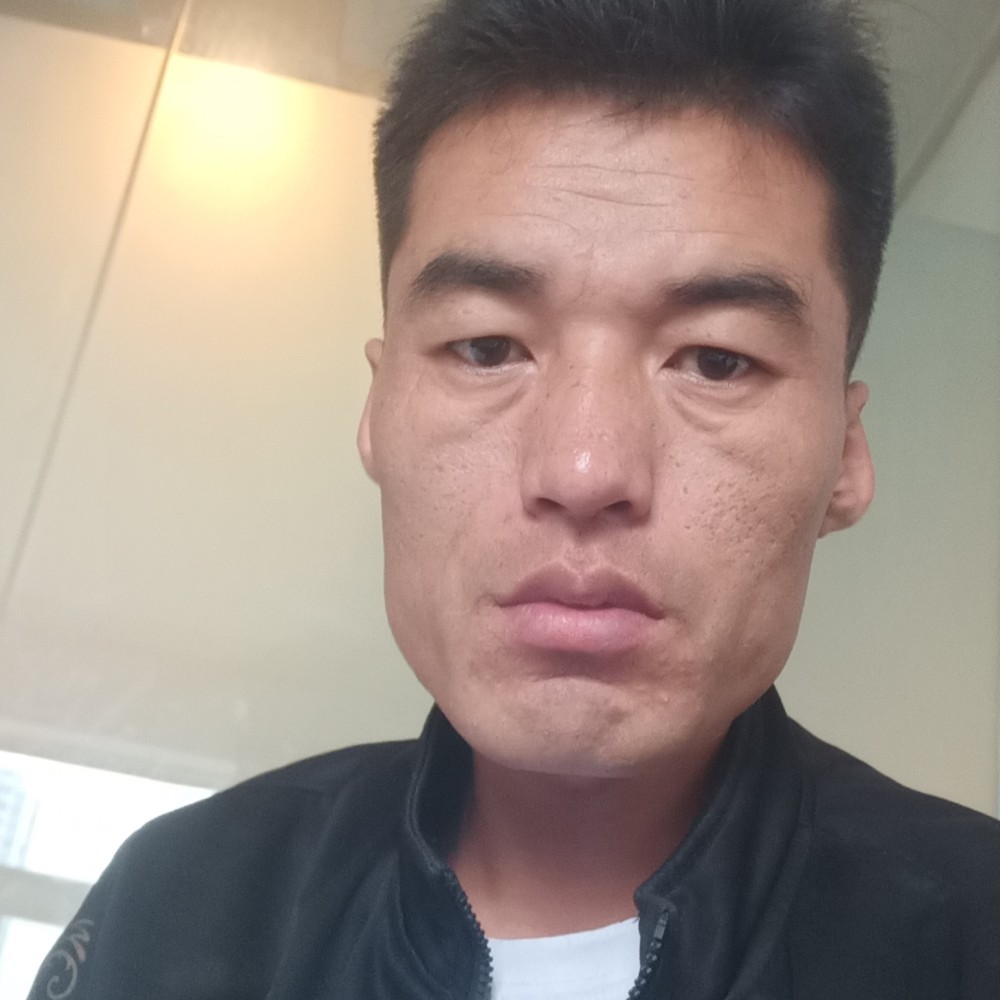 冷酷愿含羞草的照片
