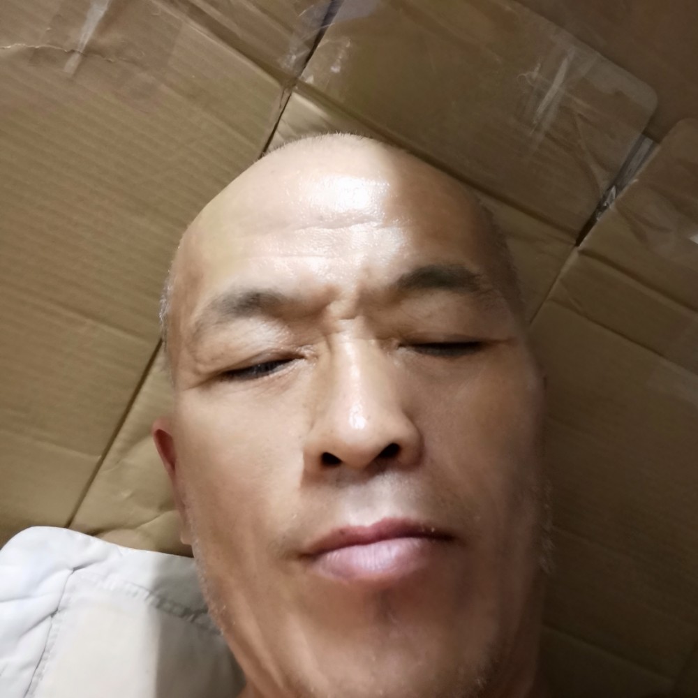 小蚂蚁等于大胆的照片