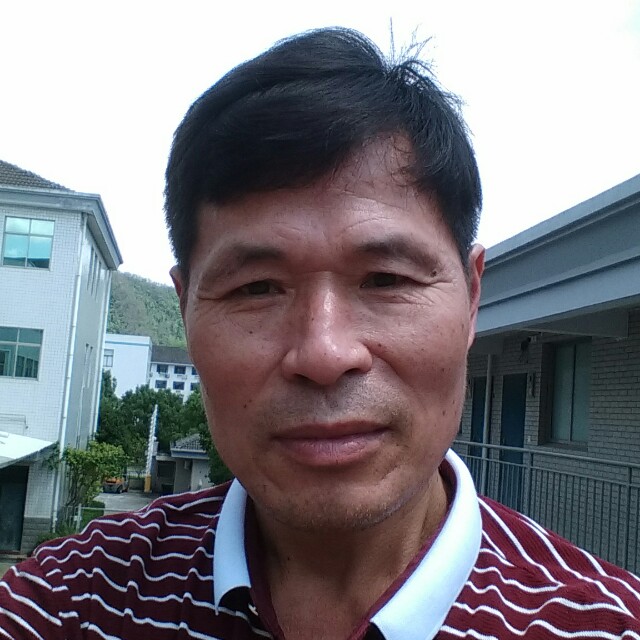 自由花瓣的照片