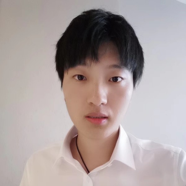 欢乐的小蚂蚁的照片
