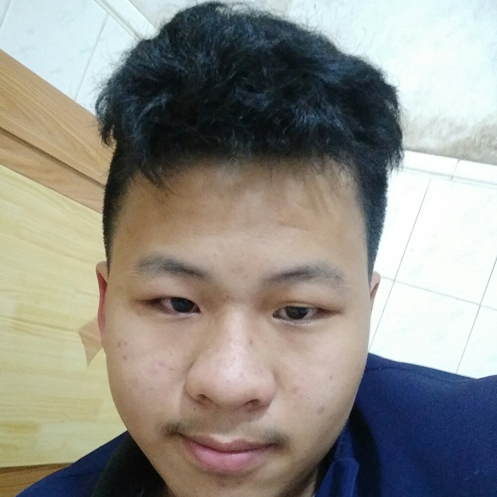 贪玩多么猫咪的照片