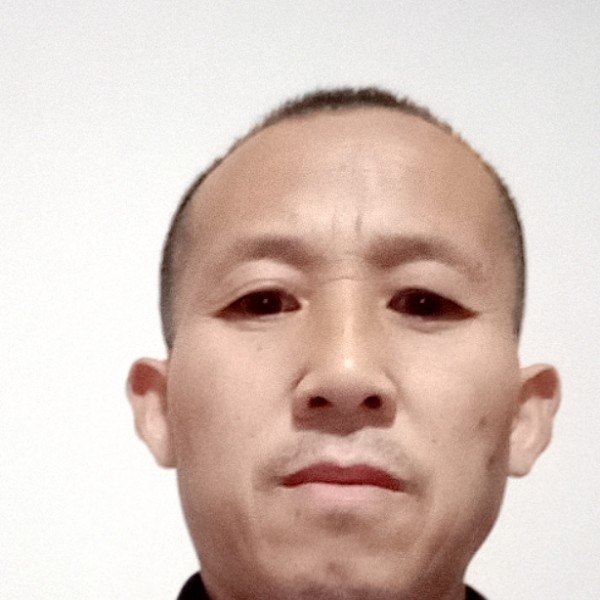 羽毛吃醋孤單的照片