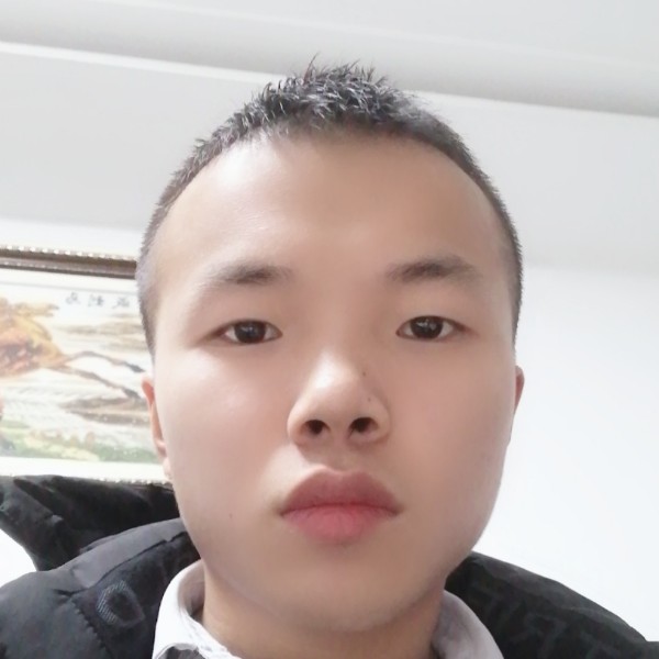 梦总会碎，的照片