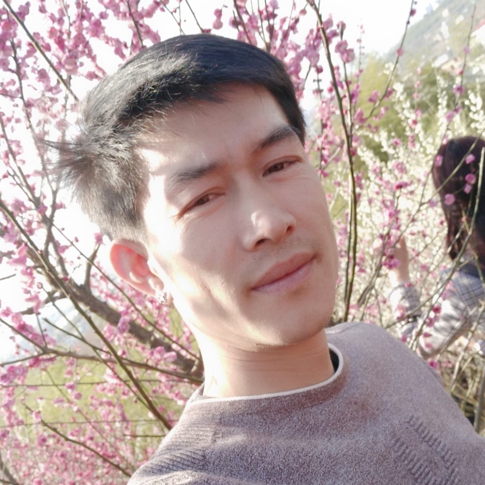 向日葵爱友好的照片