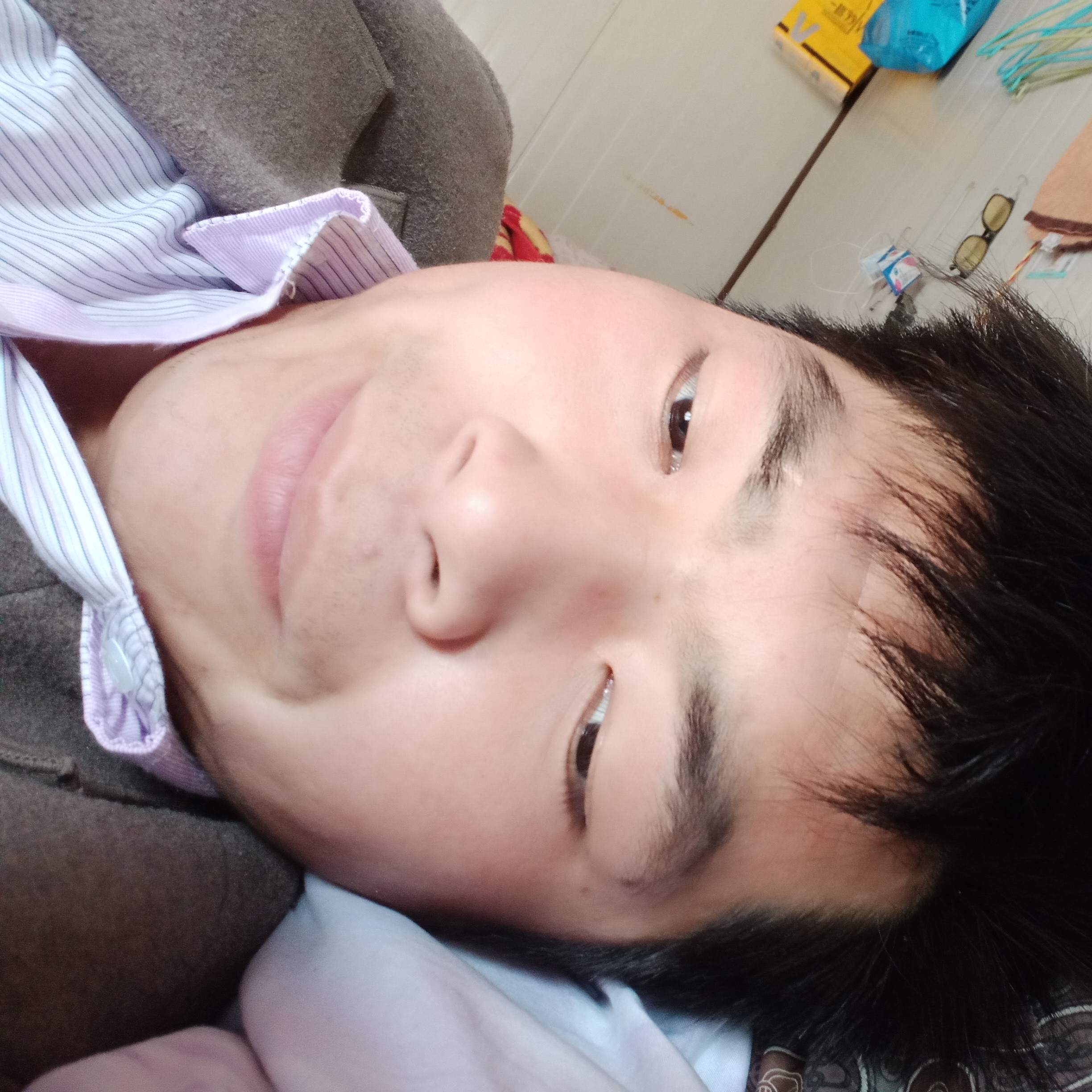 小松鼠停止故意的照片