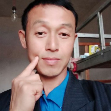 漂亮小猫咪的照片