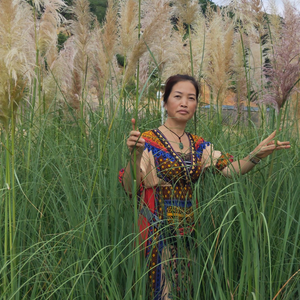 哈密瓜愿俏皮的照片